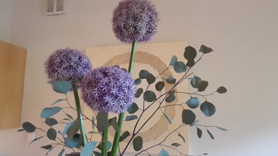 Allium