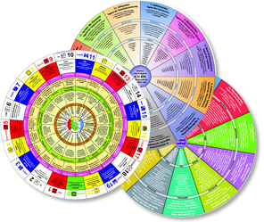 Werkzeuge zur Selbsthilfe — Alpha-Synapsen-Programmierung, drei Scheiben