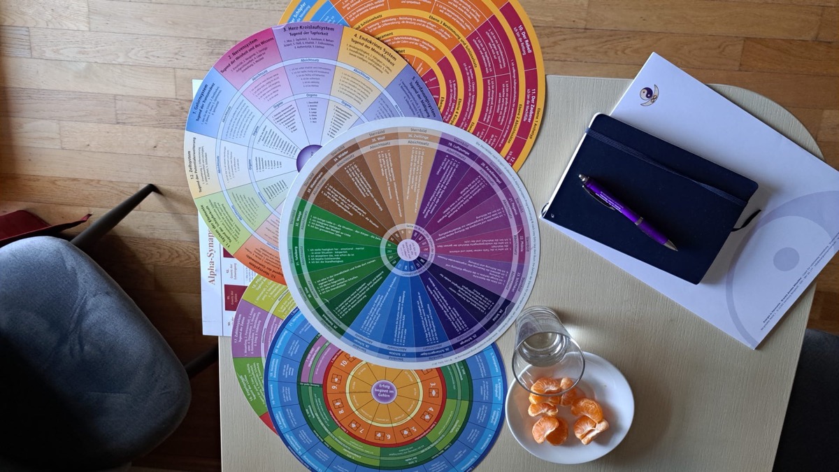 Alpha-Synapsen-Scheiben in der Praxis