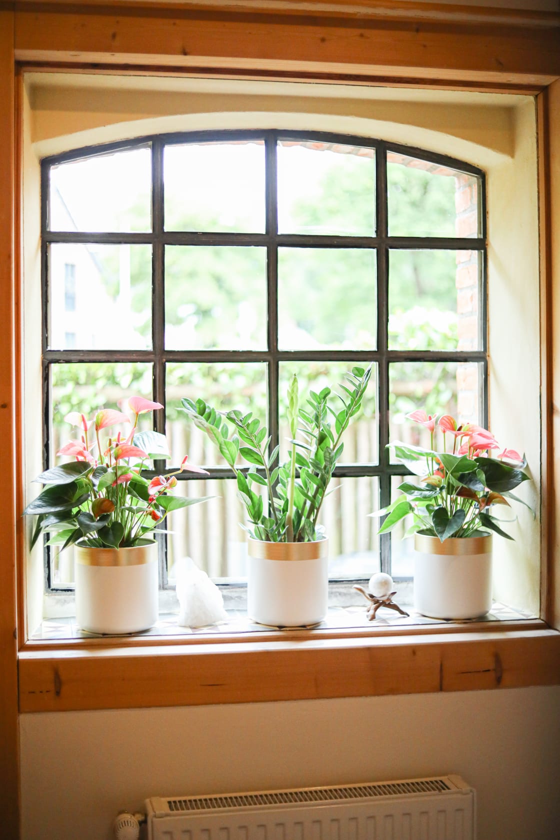 Blick durch das Praxisfenster — Ruhe und Inspiration